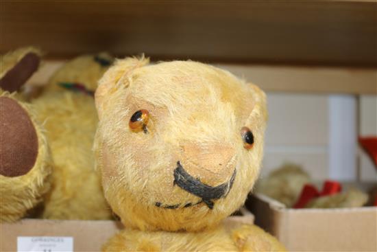 Two Chad Valley bears, Merrythought, two bears 1930-50s, tallest 14in.